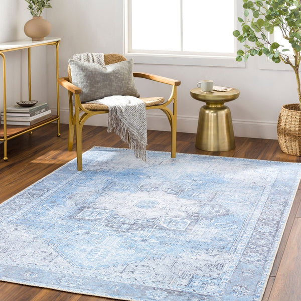 Livabliss Amelie Traditional Flat Weave Runner Rug Chenille Cotton Blend Hallway Accent Light Blue, Ice 5'3" x 7'3" AML2362-5373