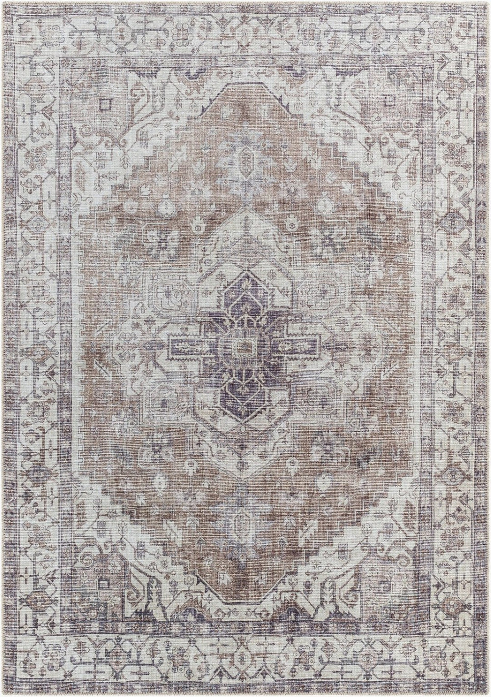 Livabliss Amelie Traditional Chenille Flatweave Rug Machine Woven in Turkey for Entryways AML2371-2211