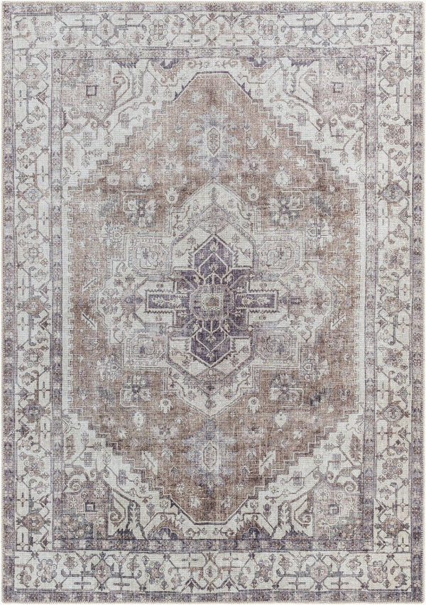 Livabliss Amelie Traditional Chenille Flatweave Rug Machine Woven in Turkey for Entryways AML2371-2211