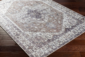 Livabliss Amelie Traditional Chenille Flatweave Rug Machine Woven in Turkey for Entryways AML2371-2211