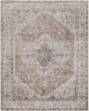 Amelie AML-2371 7'10" x 10'2" Machine Woven Rug AML2371-710102 Livabliss Surya