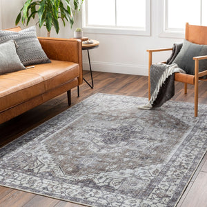 Livabliss Amelie Traditional Chenille Flatweave Rug Machine Woven in Turkey for Entryways AML2371-2211