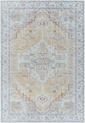 Livabliss Amelie Traditional Flatweave Polyester Area Rug for Dining Rooms and Busy Hallways AML2373-81012