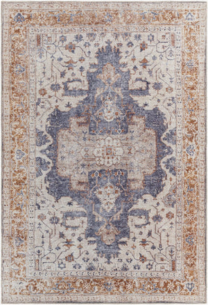 Livabliss Amelie Flatweave Chenille Polyester Area Rug Soft Traditional Pattern for Living Room AML2374-81012