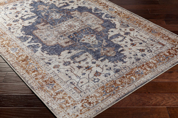 Livabliss Amelie Flatweave Chenille Polyester Area Rug Soft Traditional Pattern for Living Room AML2374-81012