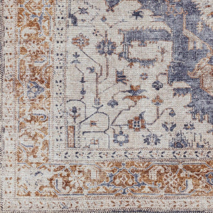 Livabliss Amelie Flatweave Chenille Polyester Area Rug Soft Traditional Pattern for Living Room AML2374-81012