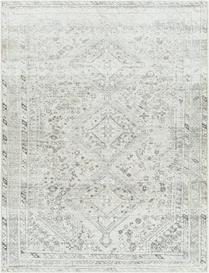 Livabliss Amelie Turkish Flatweave Polyester Accent Rug for Entryways Bathrooms and Bedside Areas White, Sage 5'3" x 7'3" AML2379-5373