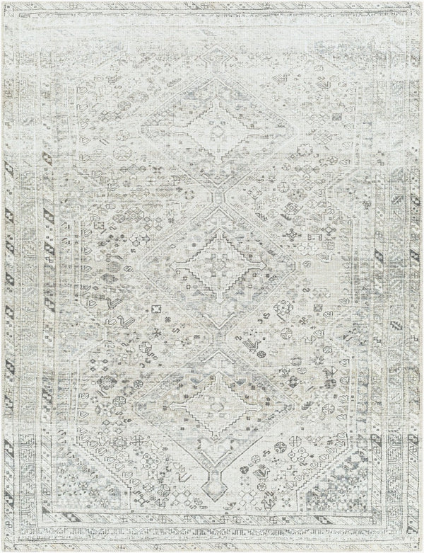 Livabliss Amelie Turkish Flatweave Polyester Accent Rug for Entryways Bathrooms and Bedside Areas White, Sage 5'3" x 7'3" AML2379-5373