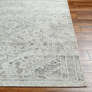 Livabliss Amelie Turkish Flatweave Polyester Accent Rug for Entryways Bathrooms and Bedside Areas White, Sage 5'3" x 7'3" AML2379-5373