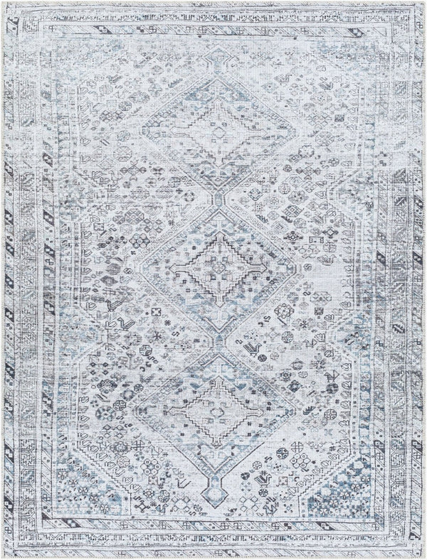 Livabliss Amelie Flatweave Polyester Area Rug Turkey Woven Traditional Pattern Entryway Accent White, Denim 8'10" x 12' AML2380-81012