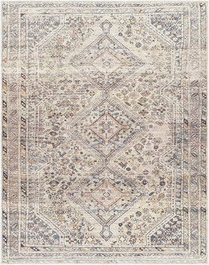 Livabliss Amelie Flatweave Polyester Area Rug Turkish Traditional Pattern for Entryways and Bedside Gray, Black 7'10" x 10'2" AML2382-710102