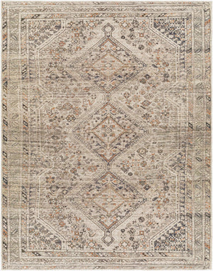 Livabliss Amelie Turkish Flatweave Polyester Area Rug for Entryways and High Traffic Spaces Gray, Black 8'10" x 12' AML2383-81012