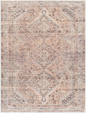 Livabliss Amelie Flatweave Polyester Area Rug Traditional Pattern for Entryway High Traffic Zones Light Brown, Or 8'10" x 12' AML2384-81012