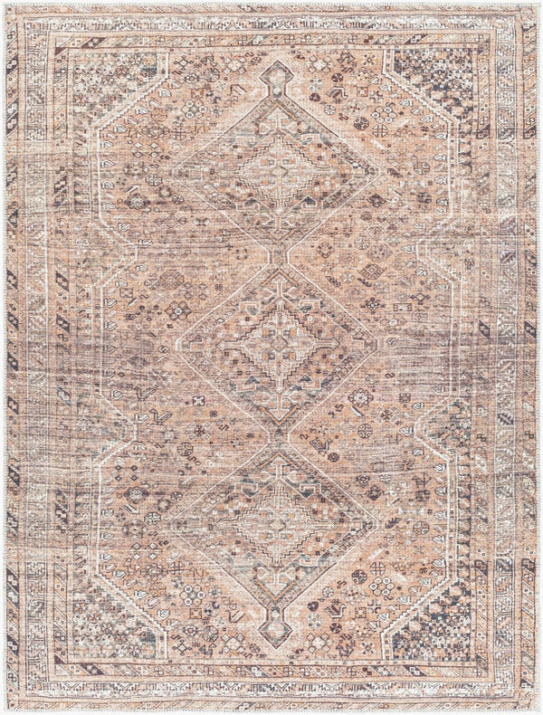 Livabliss Amelie Flatweave Polyester Area Rug Traditional Pattern for Entryway High Traffic Zones Light Brown, Or 8'10" x 12' AML2384-81012