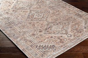 Livabliss Amelie Flatweave Polyester Area Rug Traditional Pattern for Entryway High Traffic Zones Light Brown, Or 8'10" x 12' AML2384-81012