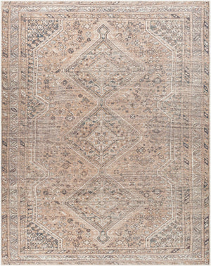 Livabliss Amelie Flatweave Polyester Area Rug Traditional Pattern for Entryway High Traffic Zones Light Brown, Or 7'10" x 10'2" AML2384-710102