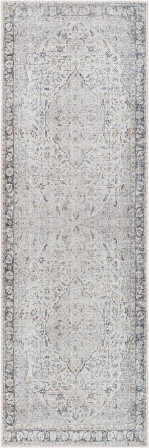 Livabliss Amelie Flatweave Chenille Area Rug Turkish Woven Traditional Pattern for Entryways Ivory, Taupe 2'7" x 7'10" AML2385-27710