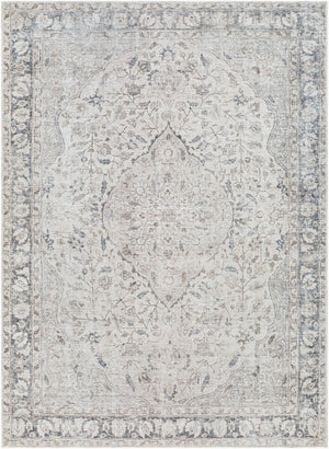 Livabliss Amelie Flatweave Chenille Area Rug Turkish Woven Traditional Pattern for Entryways Ivory, Taupe 2' x 2'11" AML2385-2211