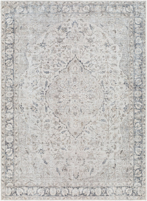 Livabliss Amelie Flatweave Chenille Area Rug Turkish Woven Traditional Pattern for Entryways Ivory, Taupe 2' x 2'11" AML2385-2211