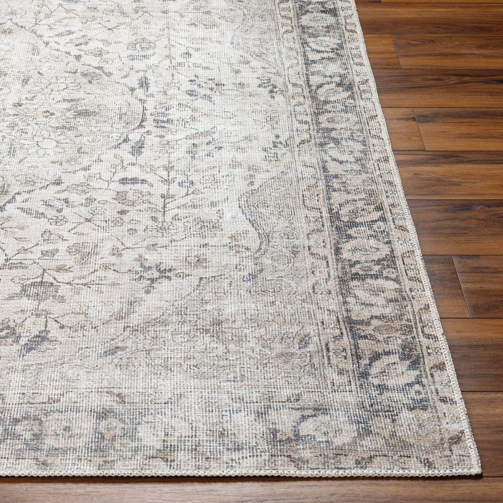Livabliss Amelie Flatweave Chenille Area Rug Turkish Woven Traditional Pattern for Entryways Ivory, Taupe 2'7" x 7'10" AML2385-27710
