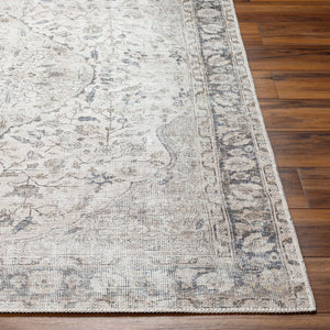 Livabliss Amelie Flatweave Chenille Area Rug Turkish Woven Traditional Pattern for Entryways Ivory, Taupe 2' x 2'11" AML2385-2211