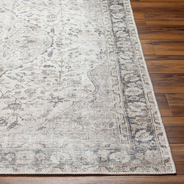 Livabliss Amelie Flatweave Chenille Area Rug Turkish Woven Traditional Pattern for Entryways Ivory, Taupe 2' x 2'11" AML2385-2211