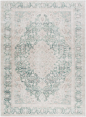 Livabliss Amelie Flatweave Polyester Rug Woven in Turkey for Entryways and High Traffic Spaces Medium Green, C 8'10" x 12' AML2393-81012