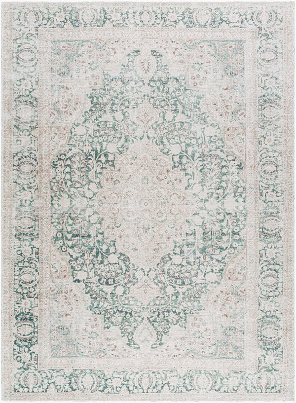 Livabliss Amelie Flatweave Polyester Rug Woven in Turkey for Entryways and High Traffic Spaces Medium Green, C 8'10" x 12' AML2393-81012