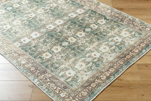 Livabliss Amelie Flatweave Polyester Accent Rug Turkish Woven Low Profile for Entryway or Bath Olive, Medium G 2'7" x 7'10" AML2396-27710