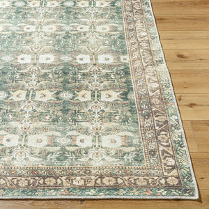Livabliss Amelie Flatweave Polyester Accent Rug Turkish Woven Low Profile for Entryway or Bath Olive, Medium G 2'7" x 7'10" AML2396-27710