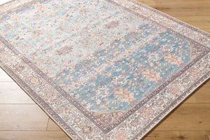 Livabliss Amelie Flatweave Polyester Accent Rug Turkish Woven Low Profile for Entryway or Bath Pale Blue, Teal 2' x 2'11" AML2399-2211