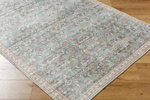 Livabliss Amelie Flatweave Polyester Area Rug for Entryways Kitchens and High Traffic Spaces Pale Blue, Teal 8'10" x 12' AML2403-81012