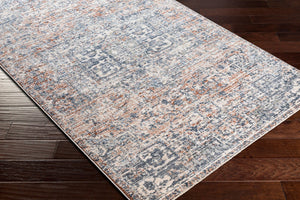 Livabliss Amore Traditional Polyester Woven Rug with Fringe and Lustrous Sheen for Entryways Navy, Denim 2' x 2'11" AMO2303-23