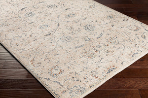 Livabliss Amore Traditional Polyester Rug with High-low Pile Fringe Trim for Entryways Navy, Denim 2' x 2'11" AMO2305-23