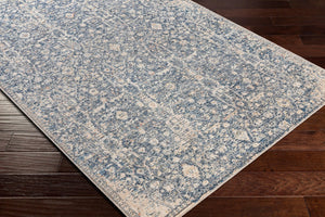 Livabliss Amore Traditional Polyester Area Rug Soft Medium Pile for Entryway Bathroom Bedroom Charcoal, Dark 27" x 45" AMO2332-2339