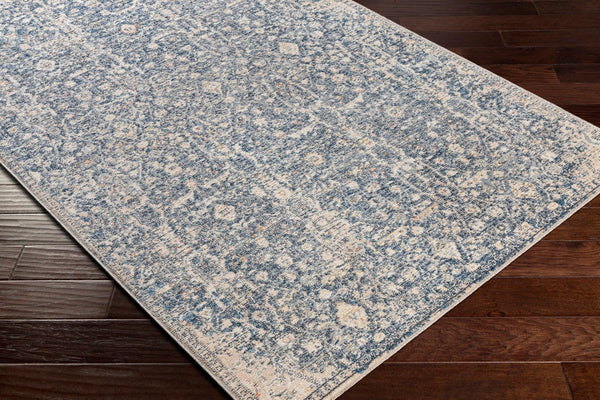Livabliss Amore Traditional Polyester Area Rug Soft Medium Pile for Entryway Bathroom Bedroom Charcoal, Dark 27" x 45" AMO2332-2339
