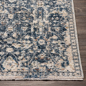 Livabliss Amore Traditional Polyester Area Rug Soft Medium Pile for Entryway Bathroom Bedroom Charcoal, Dark 27" x 45" AMO2332-2339