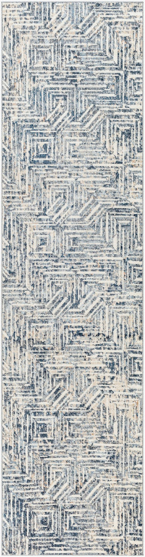 Livabliss Amore Polyester Runner Rug with Fringe and High Low Pile for Hallways Entryways AMO2337-2610