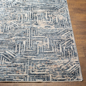 Livabliss Amore Polyester Runner Rug with Fringe and High Low Pile for Hallways Entryways AMO2337-2610