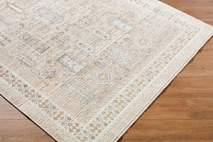 Livabliss Amir Traditional Turkish Machine Woven Area Rug with Fringe for Living or Dining Rooms Beige, Cream 6'7" x 9'2" AMR2300-6792