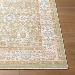 Livabliss Amir Traditional Medallion Area Rug Machine Woven Polypropylene Washable Living Room Sage, Cream 5'3" x 7' AMR2306-537