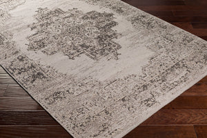 Surya Amsterdam Ams-1002 2' X 3' Handmade Chenille-cotton Rug - Timeless Elegance For Your Home Decor Light Gray Chenille,Polyester Ams1023-23