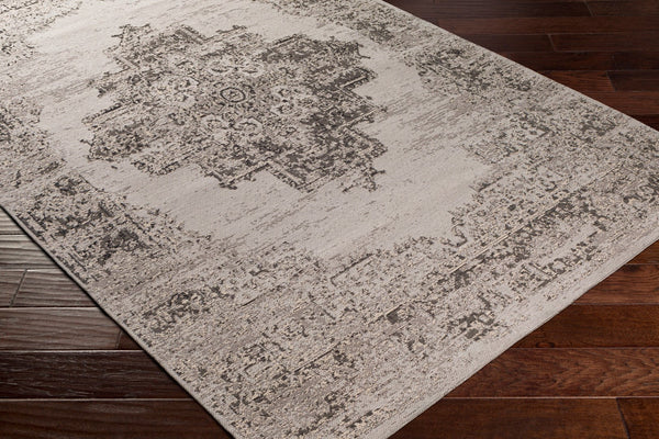 Surya Amsterdam Ams-1002 2' X 3' Handmade Chenille-cotton Rug - Timeless Elegance For Your Home Decor Light Gray Chenille,Polyester Ams1023-23