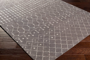 Surya Amsterdam Ams-1002 2' X 3' Handmade Chenille-cotton Rug - Timeless Elegance For Your Home Decor Charcoal Cotton Ams1026-576