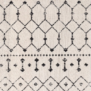 Surya Amsterdam Ams-1002 2' X 3' Handmade Chenille-cotton Rug - Timeless Elegance For Your Home Decor Black Cotton Ams1027-23