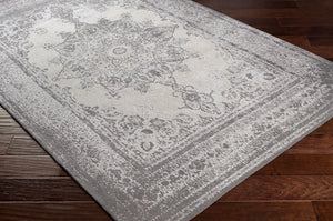 Surya Amsterdam Ams-1002 2' X 3' Handmade Chenille-cotton Rug - Timeless Elegance For Your Home Decor Charcoal Chenille,Polyester Ams1029-23
