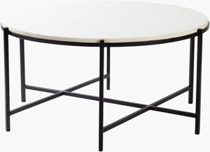 Livabliss Anaya Square Marble Top Coffee Table with Metal Base for Modern Living Rooms ANA-001