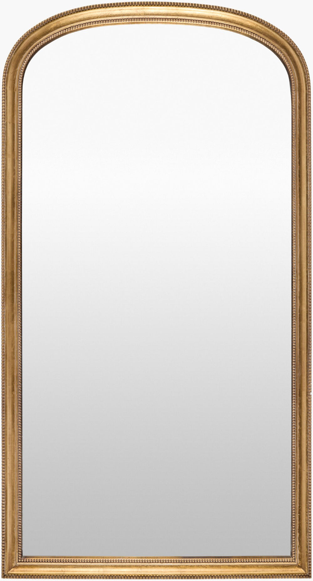 Surya Nalanda Full Length Wall Mirror with Traditional Frame for Bedroom or Entryway ANAN001-7234