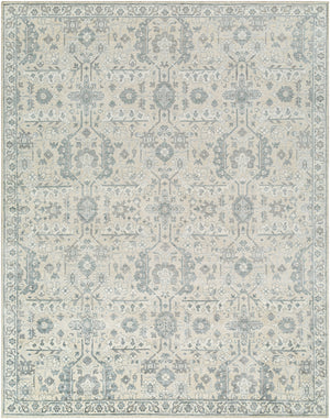 Aleyna ANE-2300 9' x 12' Handmade Rug ANE2300-912  Light Blue, Cream, Light Gray, Medium Gray, Gray, White Surya