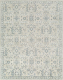 Aleyna ANE-2300 9' x 12' Handmade Rug ANE2300-912  Light Blue, Cream, Light Gray, Medium Gray, Gray, White Surya